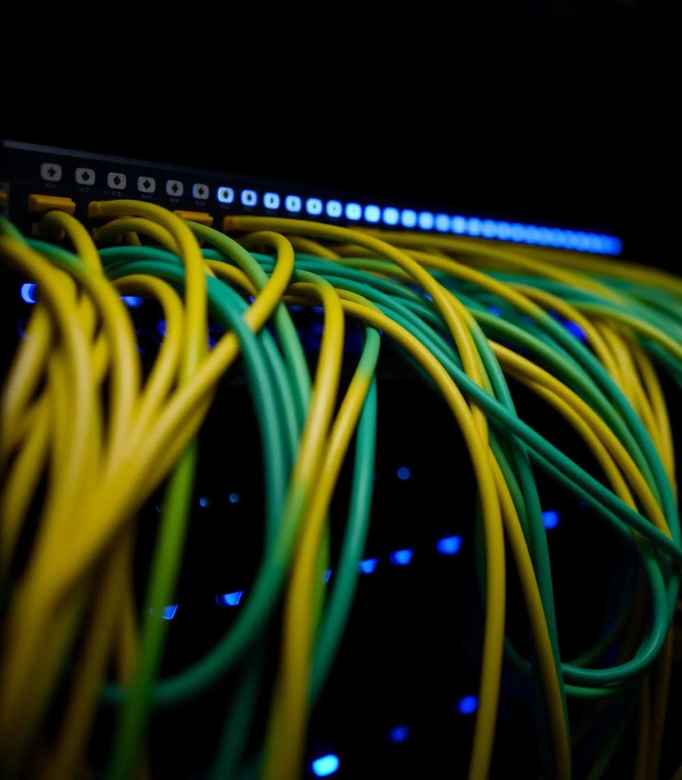 Overzichtelijke patchkast van een datanetwerk in Nijkerk